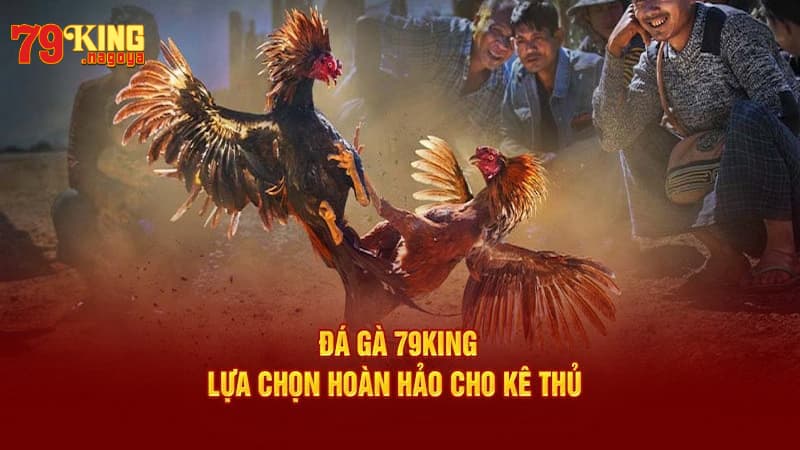 Khám phá các hình thức hấp dẫn trên đá gà 79KING