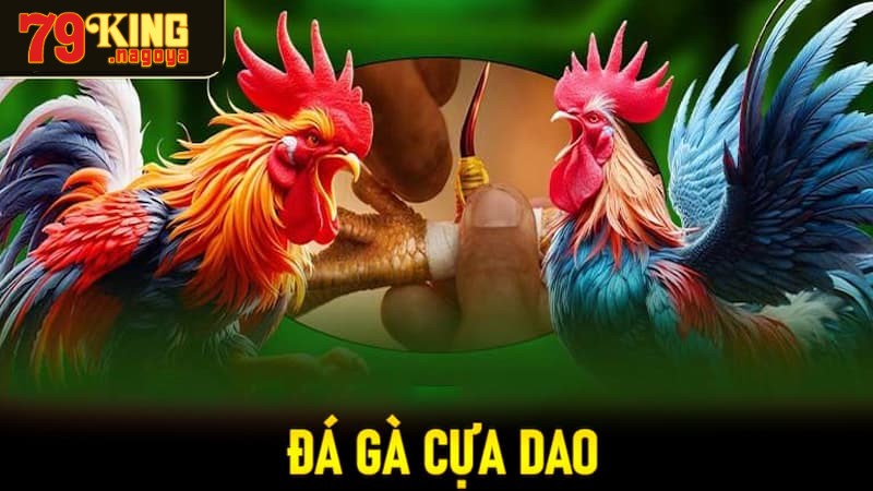 Luật chơi và cách thức tổ chức
