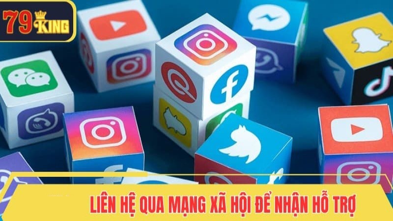 Chi tiết các bước liên hệ với nhà cái nhanh chóng