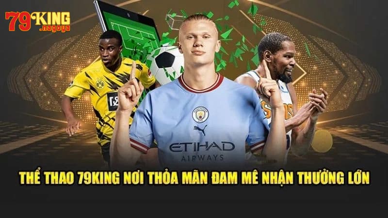 Tổng quan về thể thao 79KING